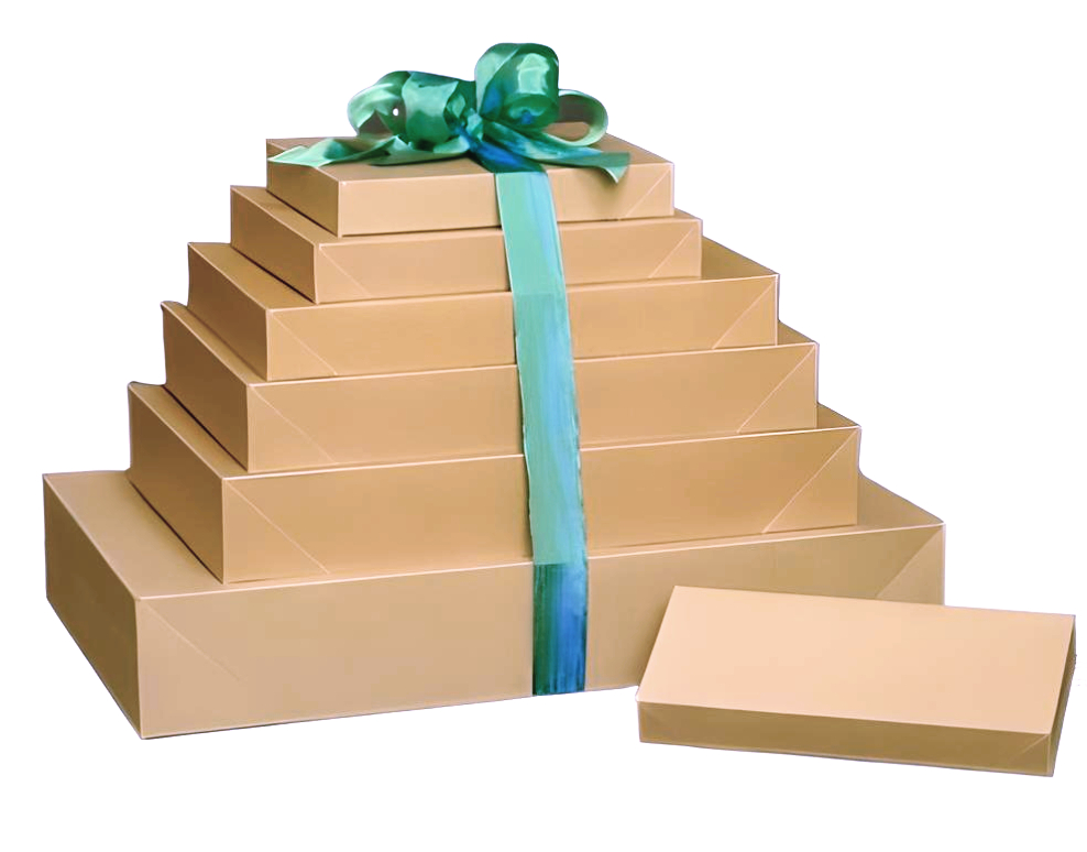 Natural Kraft Boxes Apparel