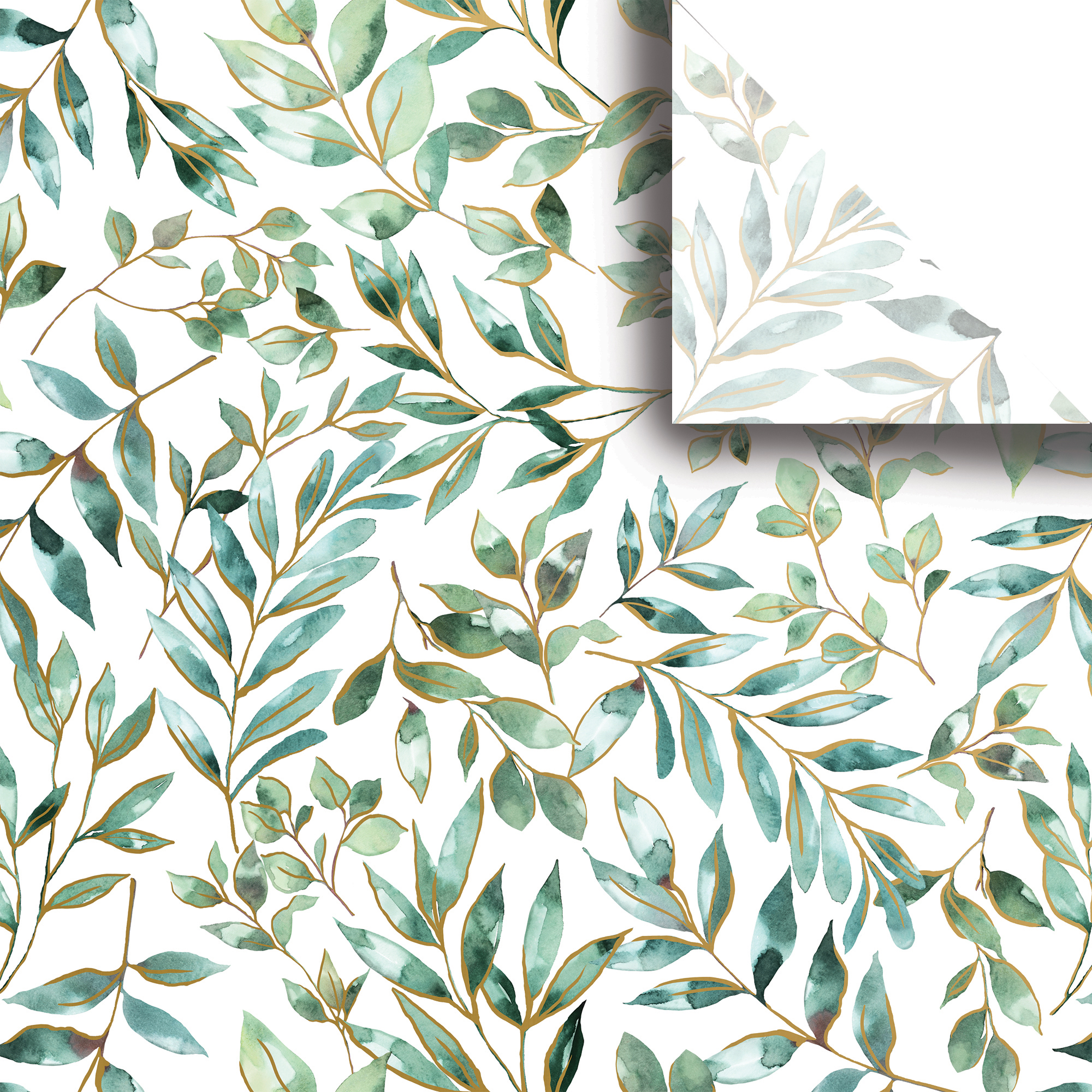 Jilson Roberts  BPT464