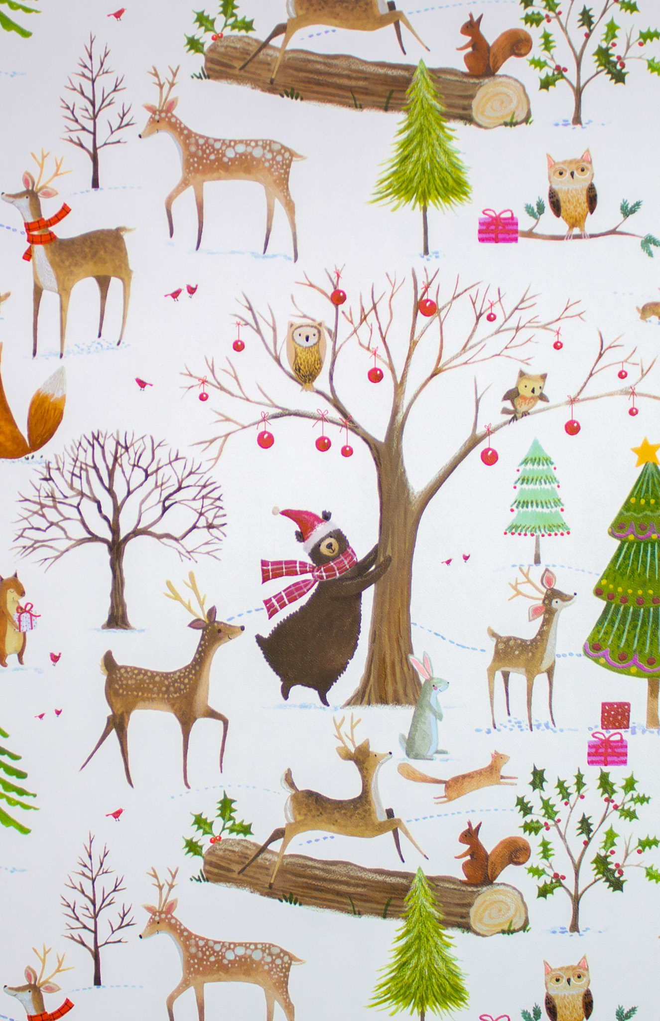 Sullivan  GW900524X417