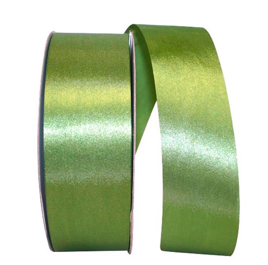 Reliant Ribbon  51000439