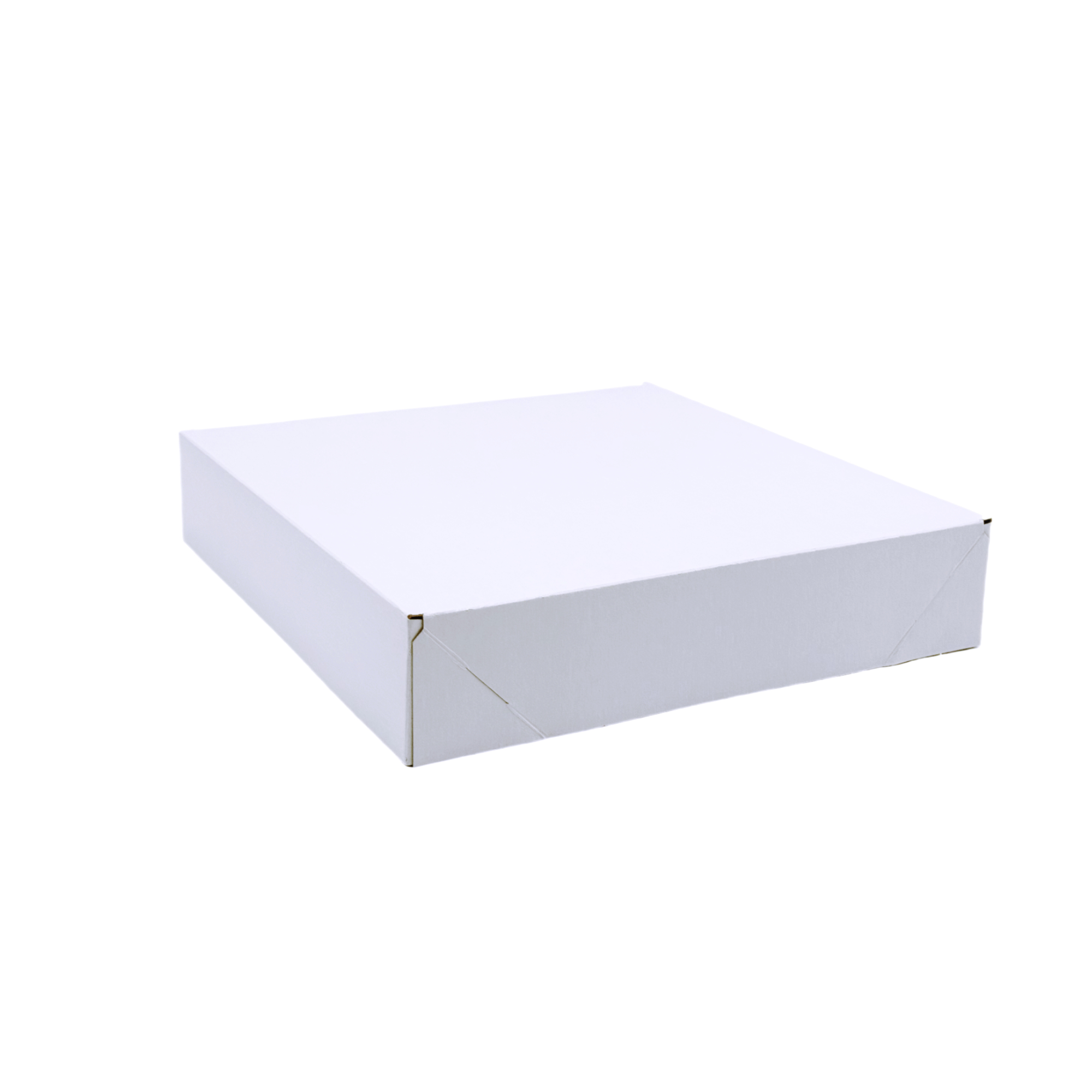 000287  WG10102