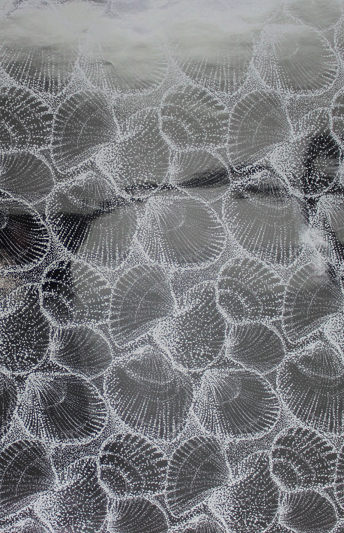 Sullivan  GW951824X417