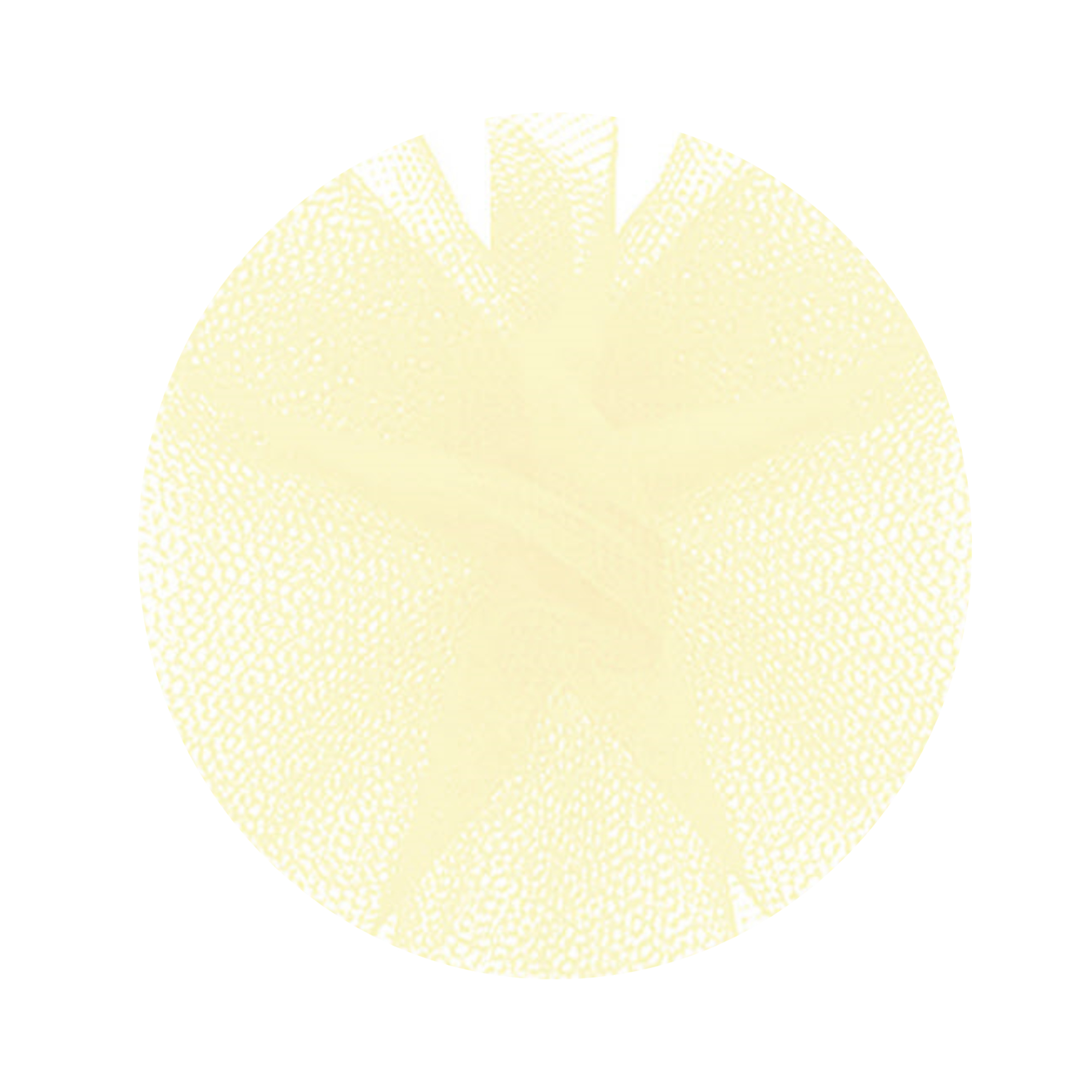 NoImage