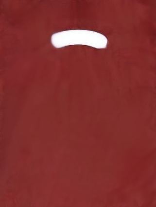 Revolution  L10BG